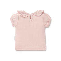 Petal Pointelle Ruffle Top - Petal Pink