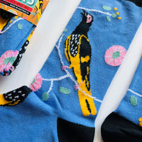 Blue Mountains Socks - Regent Honeyeater