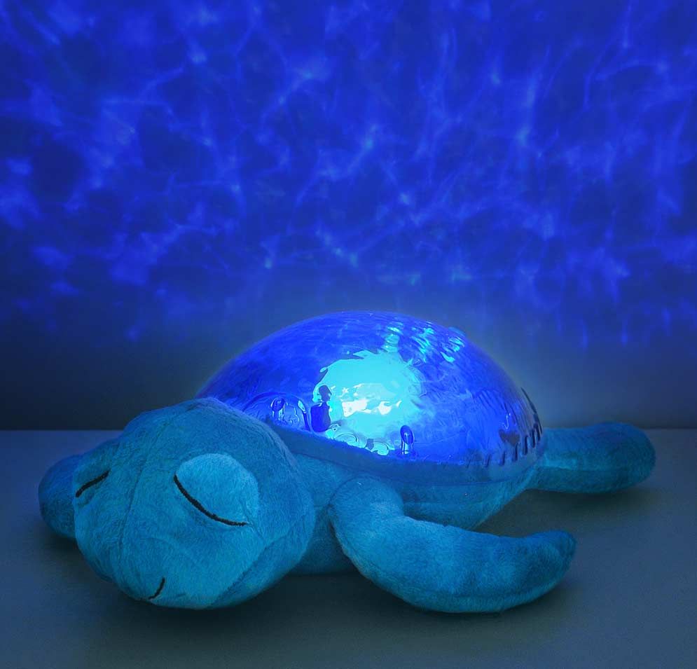 Tranquil Turtle